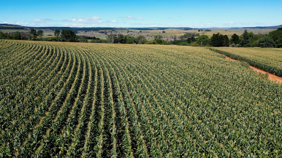 0 Bedroom Property for Sale in Maclear Rural Eastern Cape